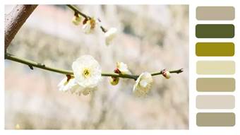 说明: 640?wx_fmt=jpeg&wxfrom=5&wx_lazy=1&wx_co=1