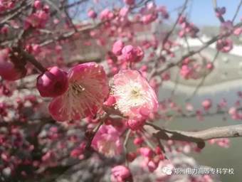 说明: 640?wx_fmt=jpeg&wxfrom=5&wx_lazy=1&wx_co=1