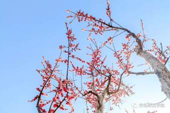说明: 640?wx_fmt=jpeg&wxfrom=5&wx_lazy=1&wx_co=1