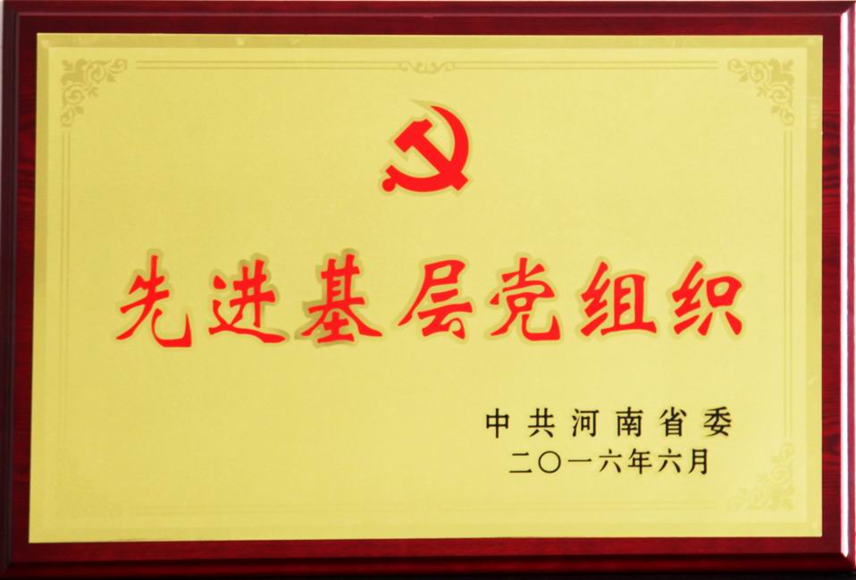 ������С �Ƚ����㵳��֯-�й�����ʡί2016��6��.jpg