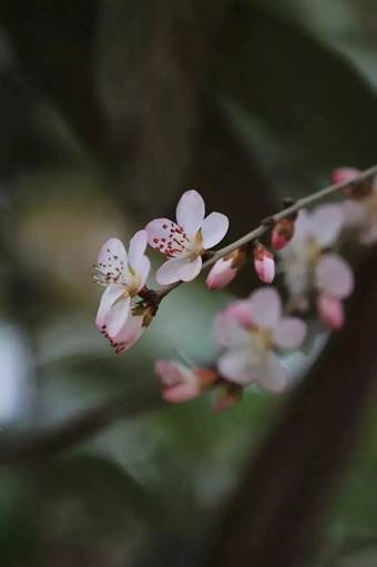 说明: 640?wx_fmt=jpeg&wxfrom=5&wx_lazy=1&wx_co=1