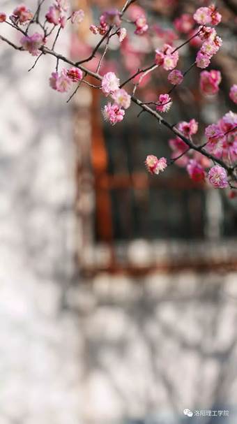 说明: 640?wx_fmt=jpeg&wxfrom=5&wx_lazy=1&wx_co=1