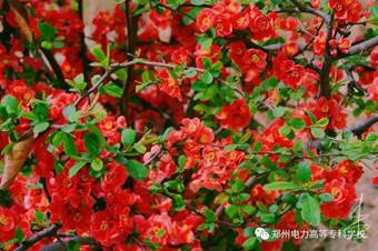 说明: 640?wx_fmt=jpeg&wxfrom=5&wx_lazy=1&wx_co=1