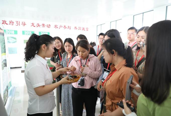 说明: 图片
