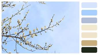 说明: 640?wx_fmt=jpeg&wxfrom=5&wx_lazy=1&wx_co=1