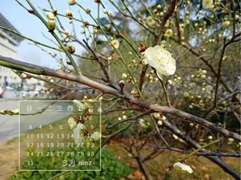 说明: 640?wx_fmt=jpeg&wxfrom=5&wx_lazy=1&wx_co=1