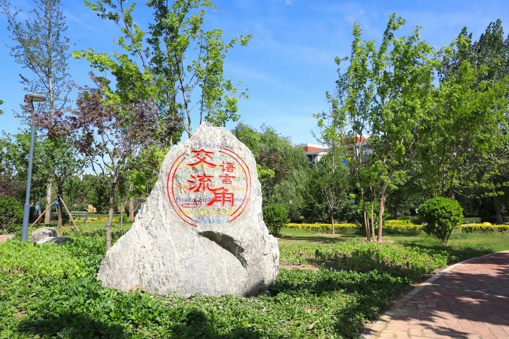 说明: 图片
