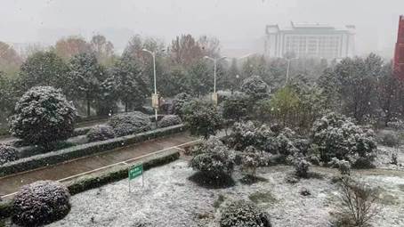 说明: 图片