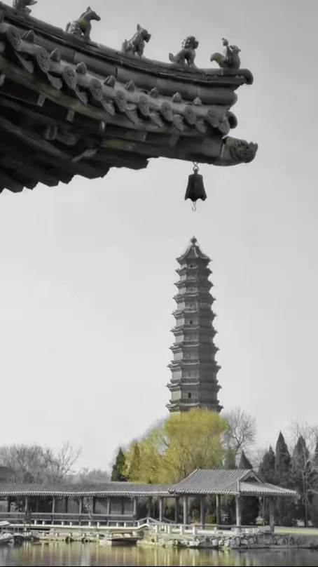 说明: 图片