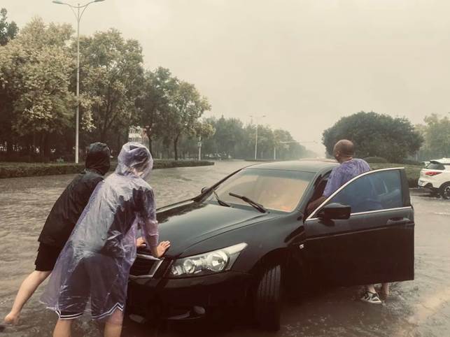 说明: 图片