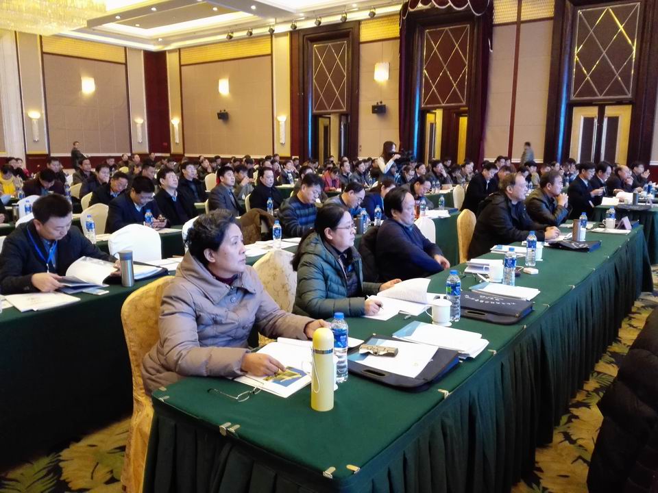 调整大小 4.jpg