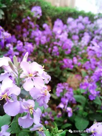 说明: 640?wx_fmt=jpeg&wxfrom=5&wx_lazy=1&wx_co=1