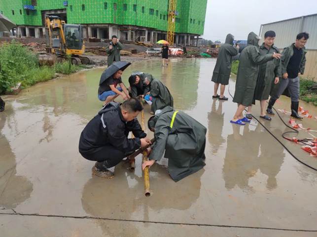 说明: 图片
