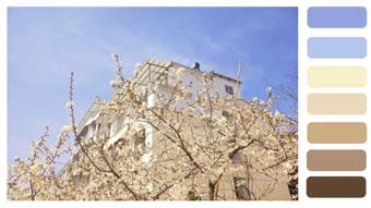 说明: 640?wx_fmt=jpeg&wxfrom=5&wx_lazy=1&wx_co=1