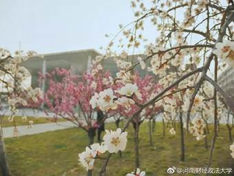 说明: 640?wx_fmt=jpeg&wxfrom=5&wx_lazy=1&wx_co=1