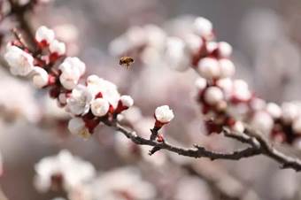 说明: 640?wx_fmt=jpeg&wxfrom=5&wx_lazy=1&wx_co=1