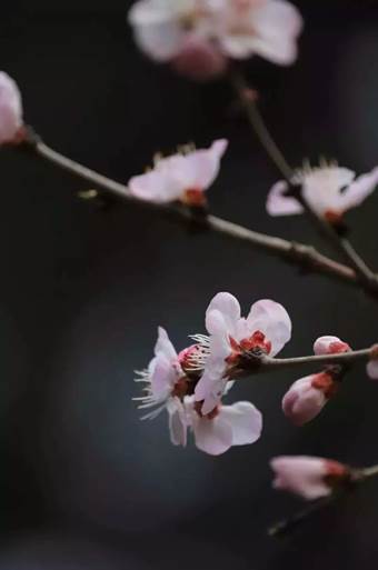 说明: 640?wx_fmt=jpeg&wxfrom=5&wx_lazy=1&wx_co=1