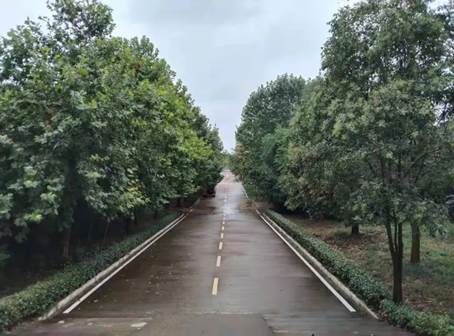 说明: 图片