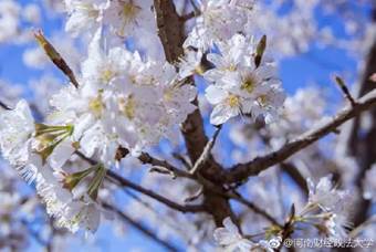 说明: 640?wx_fmt=jpeg&wxfrom=5&wx_lazy=1&wx_co=1