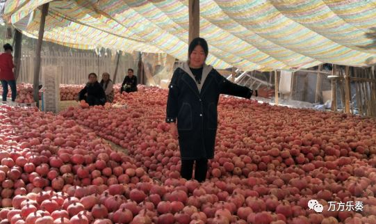 说明: https://mmbiz.qpic.cn/mmbiz_png/sVZa0Dib82NRfibUvqyyoKs1JpgamzDs6JcsFLQDzStIa3ESDKlAedcuGT1aV5s4dXX2gOAiaBQcsRJ44Rslh3v5Q/640?wx_fmt=png&wxfrom=5&wx_lazy=1&wx_co=1