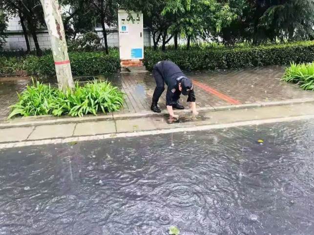 说明: 图片
