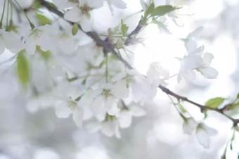 说明: 640?wx_fmt=png&wxfrom=5&wx_lazy=1&wx_co=1