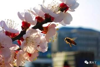 说明: 640?wx_fmt=jpeg&wxfrom=5&wx_lazy=1&wx_co=1