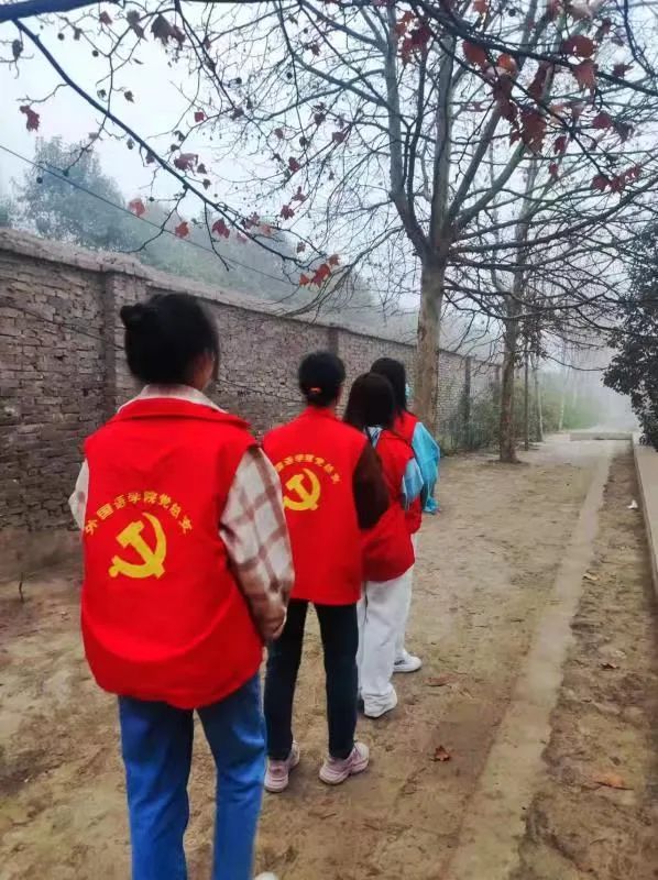 说明: 图片