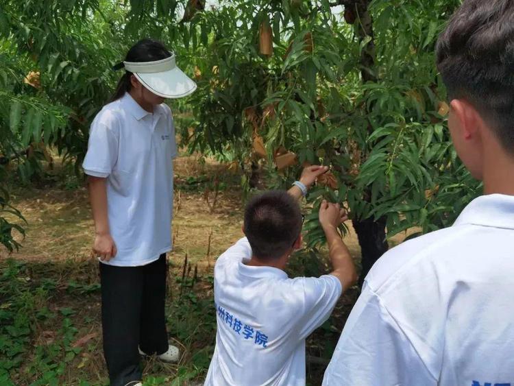 说明: https://nimg.ws.126.net/?url=http%3A%2F%2Fdingyue.ws.126.net%2F2022%2F0822%2F109733a8j00rgzsvq003tc000u000mim.jpg&thumbnail=750x2147483647&quality=75&type=jpg