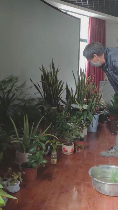 说明: jpg