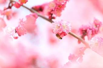 说明: 640?wx_fmt=png&wxfrom=5&wx_lazy=1&wx_co=1