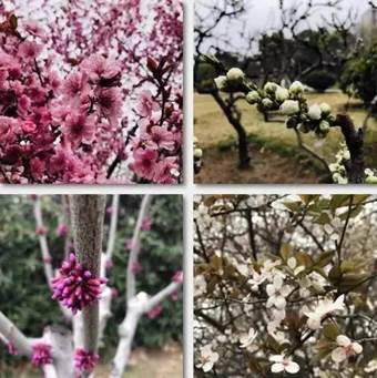 说明: 640?wx_fmt=jpeg&wxfrom=5&wx_lazy=1&wx_co=1