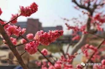 说明: 640?wx_fmt=jpeg&wxfrom=5&wx_lazy=1&wx_co=1