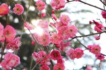 说明: 640?wx_fmt=jpeg&wxfrom=5&wx_lazy=1&wx_co=1