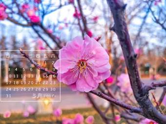 说明: 640?wx_fmt=jpeg&wxfrom=5&wx_lazy=1&wx_co=1
