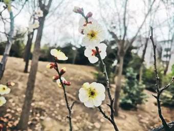 说明: 640?wx_fmt=jpeg&wxfrom=5&wx_lazy=1&wx_co=1