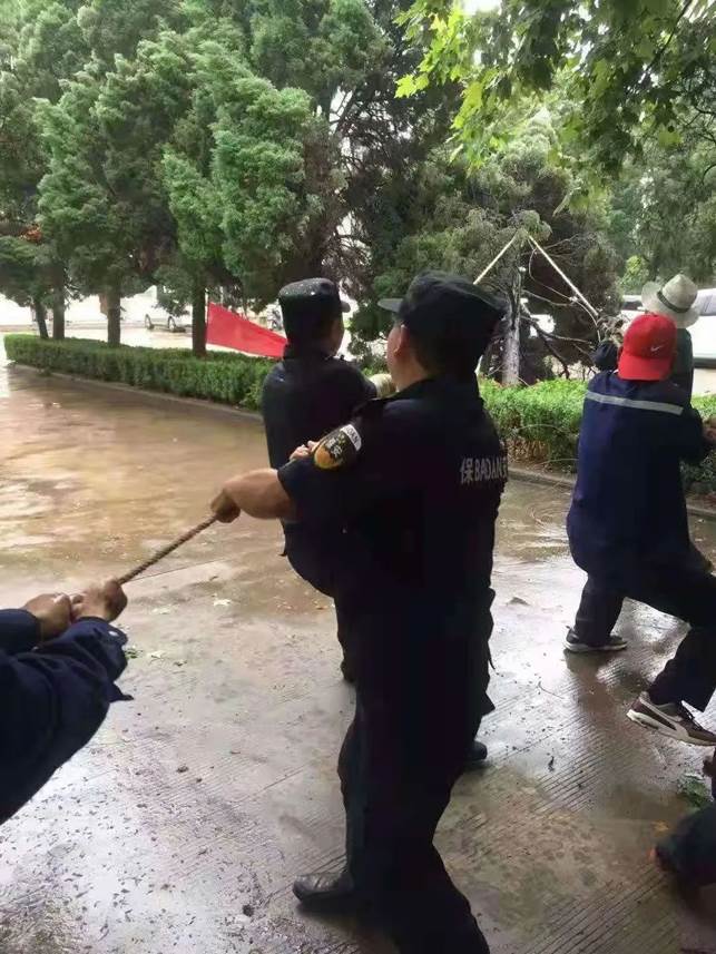 说明: 图片