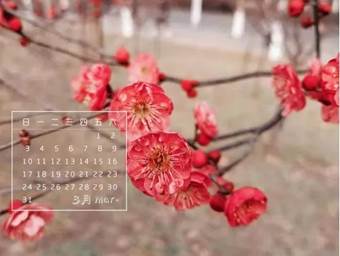 说明: 640?wx_fmt=jpeg&wxfrom=5&wx_lazy=1&wx_co=1