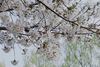 说明: 640?wx_fmt=jpeg&wxfrom=5&wx_lazy=1&wx_co=1
