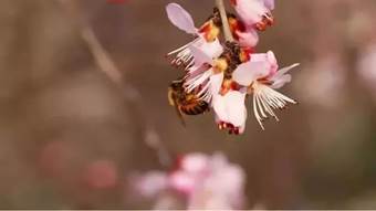 说明: 640?wx_fmt=jpeg&wxfrom=5&wx_lazy=1&wx_co=1