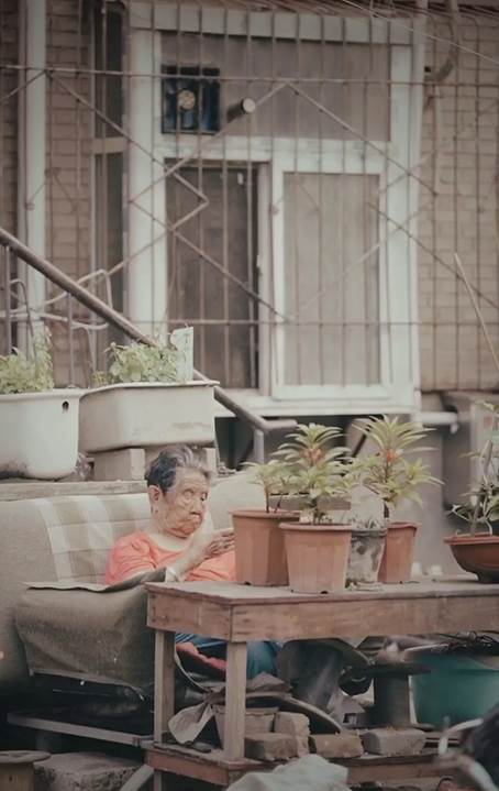 说明: 图片