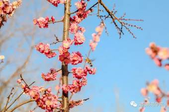 说明: 640?wx_fmt=jpeg&wxfrom=5&wx_lazy=1&wx_co=1